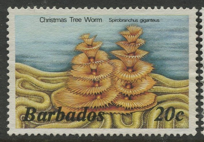 STAMP STATION PERTH Barbados #645 Marine Life 1985 Used