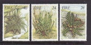 Ireland-Sc#655-7-unused NH set-Ferns-Plants-1986-