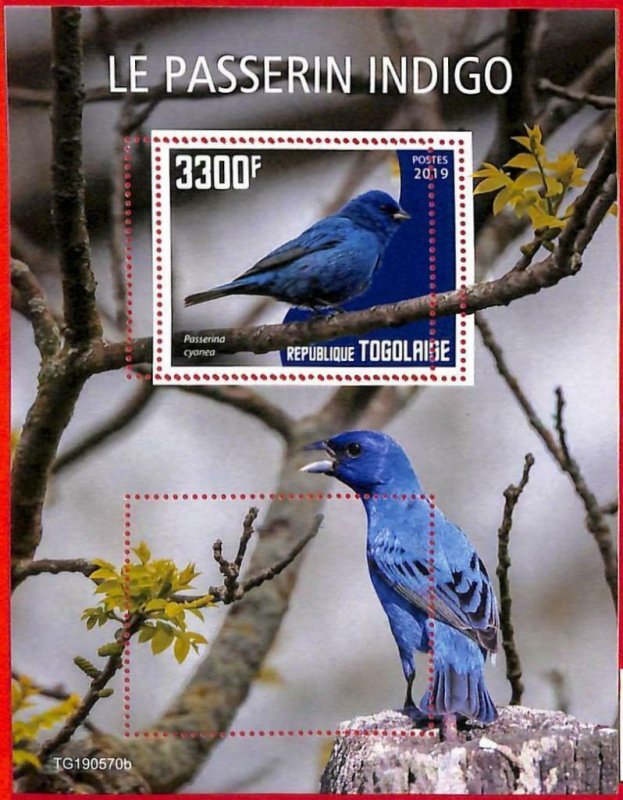 A3042 - TOGO, ERROR MISSPERF, Souvenir sheet: 2019, Indigo Bunting Birds 