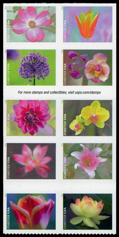 USA 5567a,5558-5567 Mint (NH) Garden Beauty Block of 10 Forever Stamps