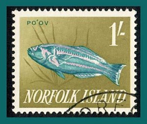 Norfolk Island 1962 Fish, 1s used  #55,SG45