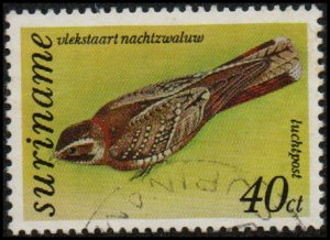 Suriname C61 - Used - 40c Spot-tailed Nightjar (1977) (cv $0.55)