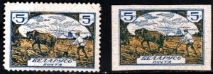 Scarce 1918-20 Belarusian Red Cross Society Charity Poster Stamp 5 Kopecks Set/2