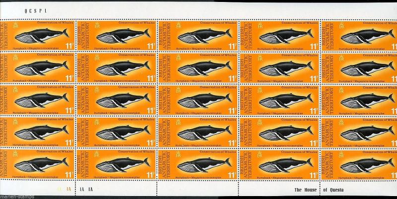 BRITISH ANTARCTIC  TERRITORY  SC#64/67  WHALES COMPLETE SHEETS OF 25 MINT NH