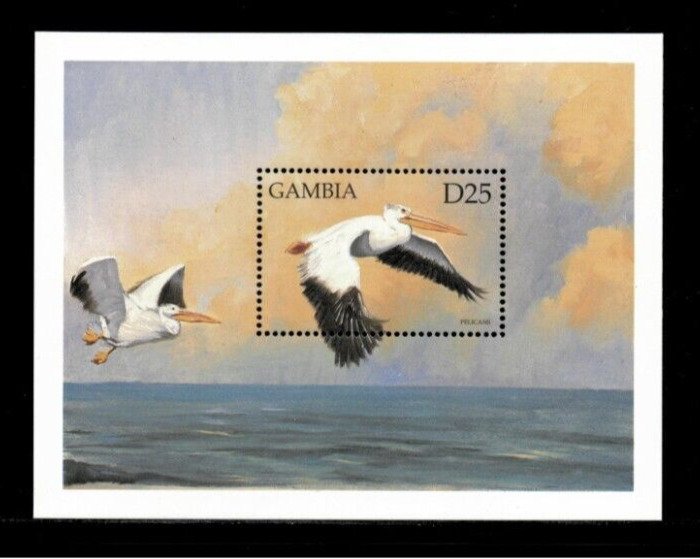 Gambia 1999 - Sea Birds - Scott# 2136 - Souvenir Stamp Sheet - MNH