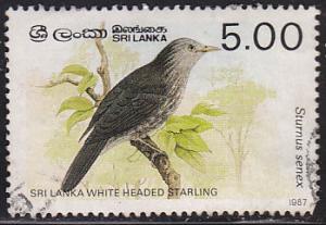 Sri Lanka 838 Sri Lanka Whiteheaded Starling 1987