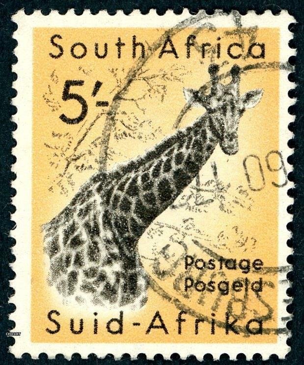 South Africa 1954 5S SG 163 Used QEII (003225-003235)