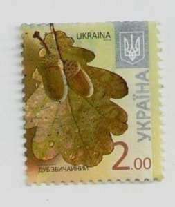 2012 Ukraine, stamp Common oak, 8th issue standards,  Flora, plants, USED