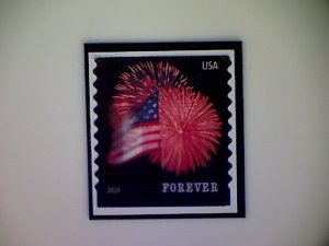 United States, Scott #4854, used(o), 2014, Flag and Fireworks, (49¢)