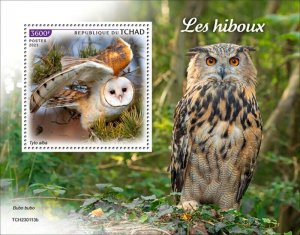 Chad - 2023 Owls, Barn Owl - Stamp Souvenir Sheet - TCH230113b