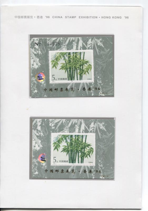 China People's Republic-Hong Kong Stamp Exhibition Booklet 1996