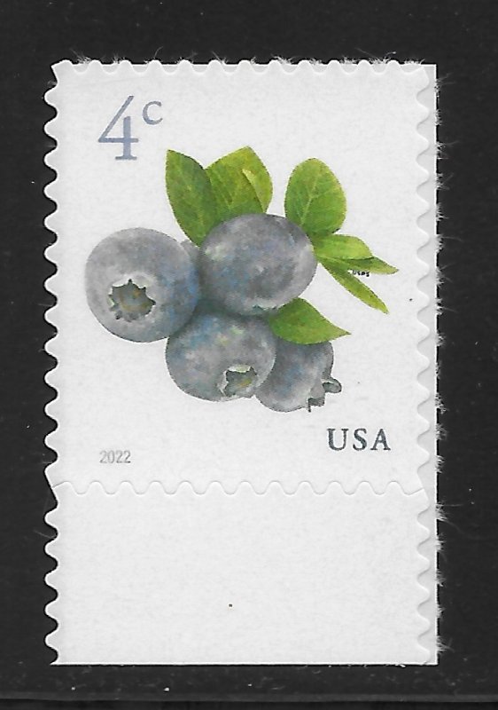 US #5652 4c Fruit - Blueberries ~ MNH