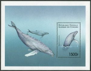 Comoro Isls 889,MNH. Whales Megaptera novaeangliae.1999