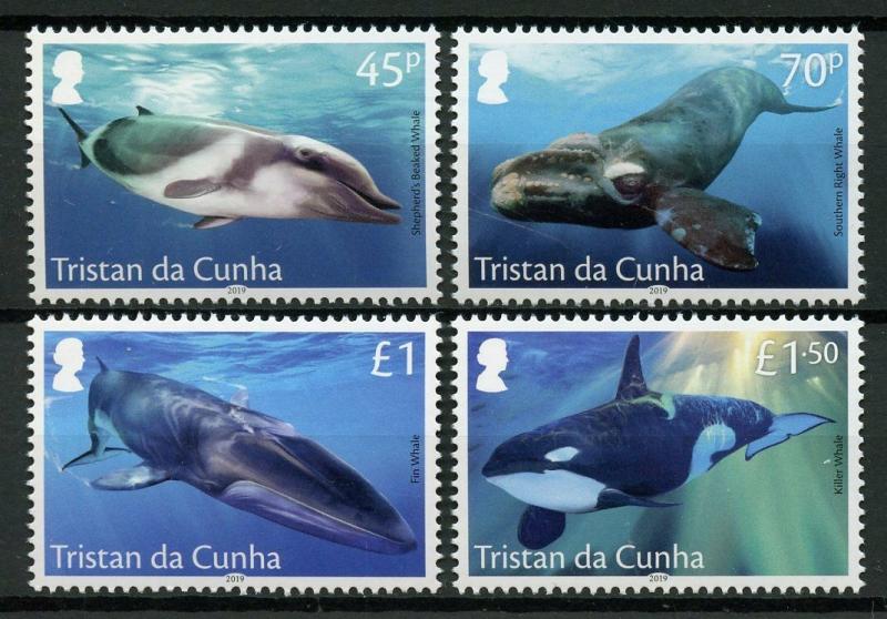 Tristan da Cunha 2019 MNH Whales Fin Killer Whale 4v Set Marine Animals Stamps 