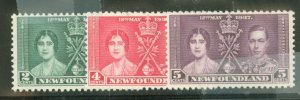 Newfoundland #230-12  Single (Complete Set)