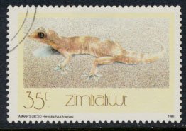 Zimbabwe SG 748  SC# 580  Used Gecko 1989  see detail and scan