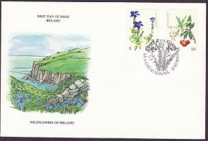 Ireland #428-29 cacheted FDC