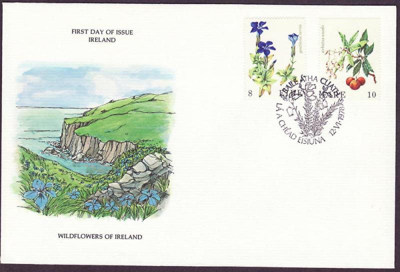 Ireland #428-29 cacheted FDC