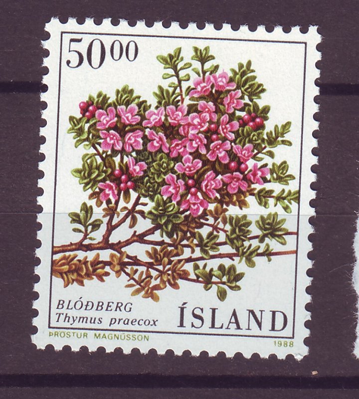 J25444 JLstamps 1988 iceland hv of set mnh #664 flower