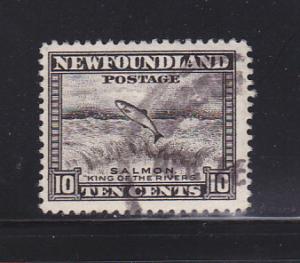 Newfoundland 260 U Fish, Salmon