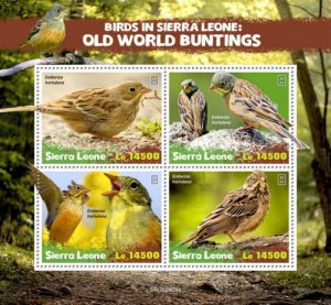 Sierra Leone - 2020 Old World Buntings Birds - 4 Stamp Sheet - SRL200628a