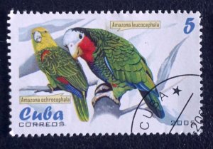 CUBA Sc# 4466  PARROTS tropical birds 5c  2005  used / cto