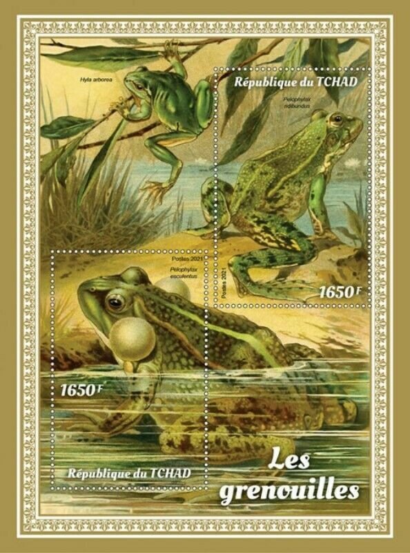 Chad - 2021 Frogs, Marsh Frog, Edible Frog - 2 Stamp Sheet - TCH210420a 