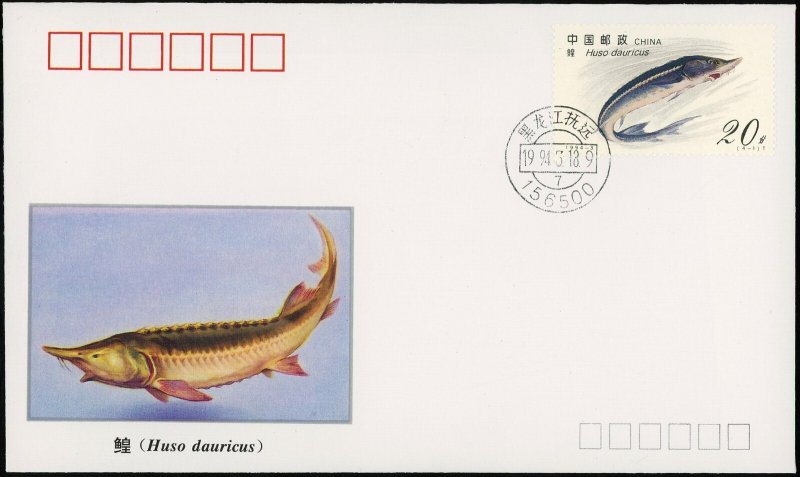 1994 China FDC Sturgeon Amur River Huso Fish Caviar Wildlife Heilongjiang Rare