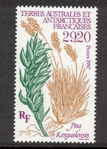 FRENCH ANTARCTIC 1997 Kerguelen Grass Scott 229, Yvert 220; MNH