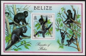Belize #872 MNH Souvenir Sheet - Indigenous Primates