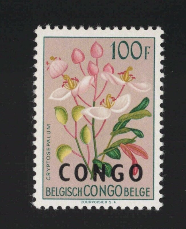 Democratic Republic of Congo Sc #340 (1960) 100f Cryptosepalum Plant Mint VF NH 