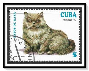 Caribbean #3552 Cats CTO