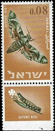 ISRAEL   #306 MNH (1)