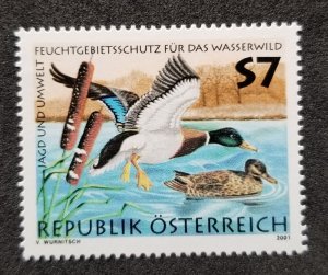 *FREE SHIP Austria Hunting & Environment 2001 Wild Duck Bird Wetland (stamp) MNH