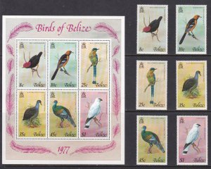 Belize, Fauna, Birds MNH / 1977