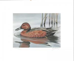 RW52 1985 FEDERAL DUCK STAMP PRINT CINNAMON TEAL by G. Mobley  List $350