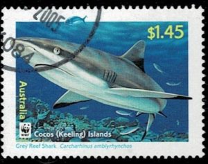 Cocos Island 2005 Reef Sharks Used