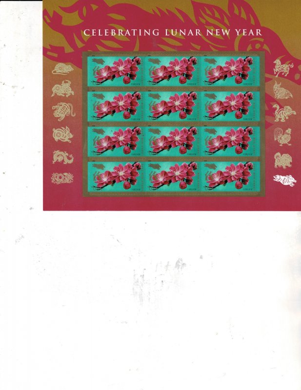 Lunar New Year of the Boar Forever US Postage Sheet #5340 VF MNH