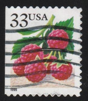 3295 Raspberries