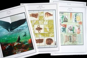 COLOR PRINTED BELGIUM 2011-2020 STAMP ALBUM PAGES (145 illustrated pages)