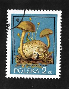 Poland 1980 - U - Scott #2397