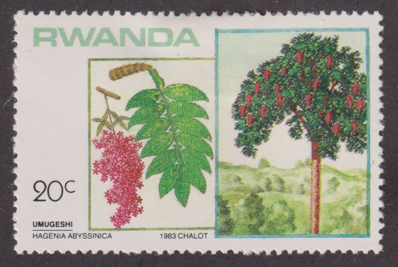 Rwanda 1167 Hagenia Abyssinica 1984