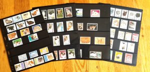 Topical cat collection, 100 plus issues