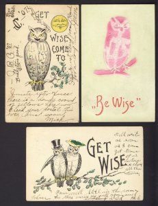 Bird - Owl - Check it out