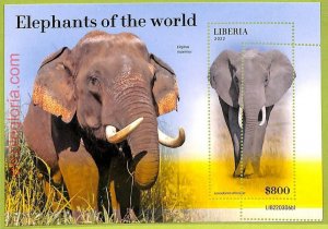 B0506 - LIBERIA - MISPERF ERROR Stamp Sheet - 2022 - Elephants of the world-