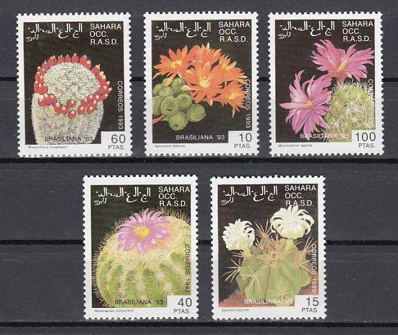 Sahara, 1993 Cinderella issue. Flowering Cactus issue.