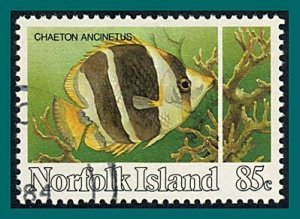 Norfolk Island 1984 Reef Fish, 85c used  #342,SG337