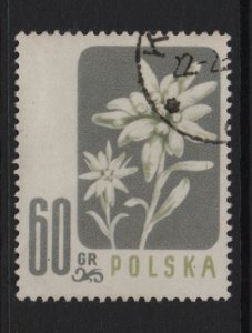 Poland  #784   cancelled  1957   flowers  60g  edelweiss