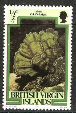 British Virgin Islands; 1980: Sc. # 364:   MNH Single Stamp