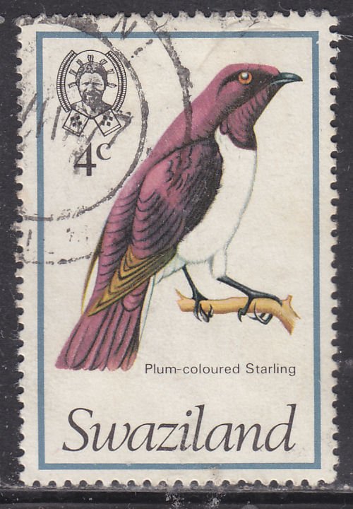 Swaziland 247 Plum-Coloured Starling 1976